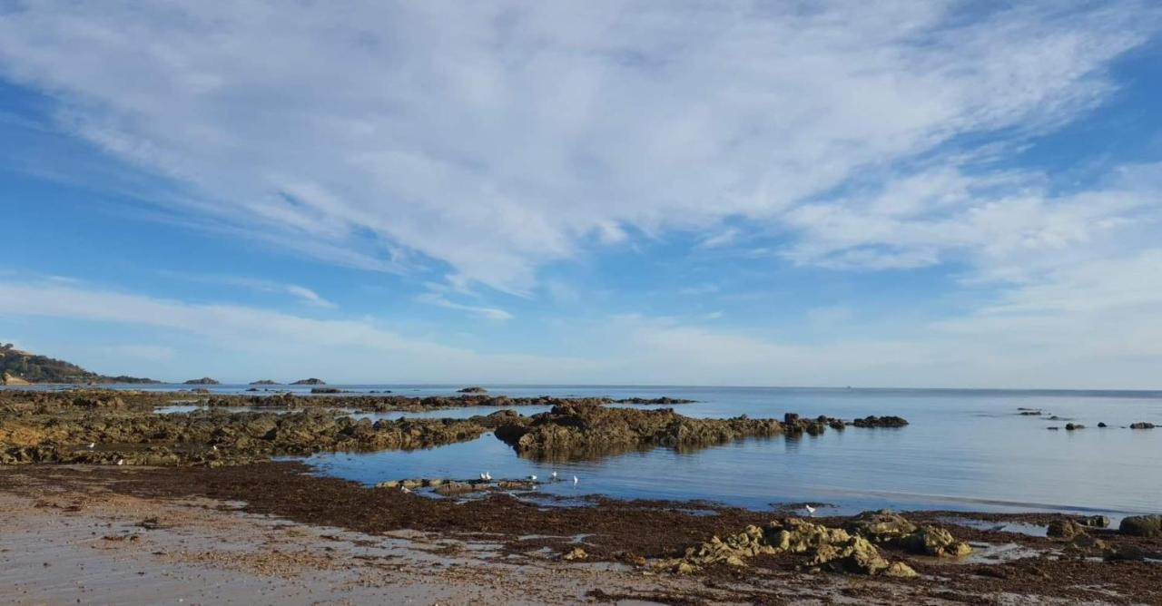 Goat Island Bungalow Ulverstone Eksteriør billede